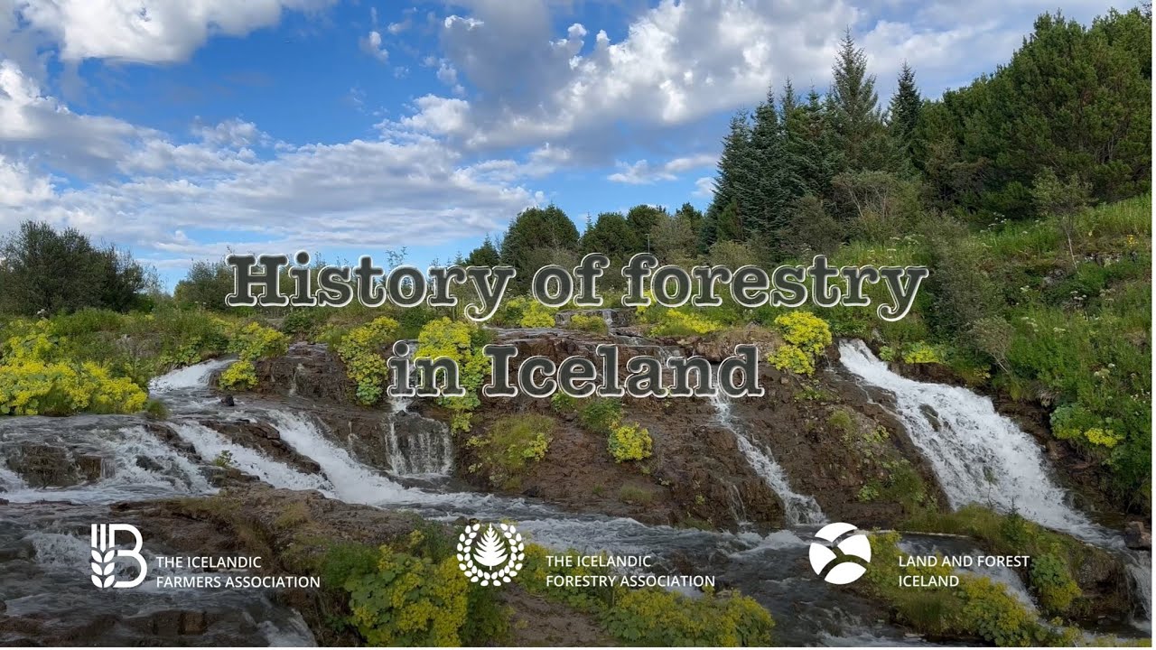 History of forestry in Iceland