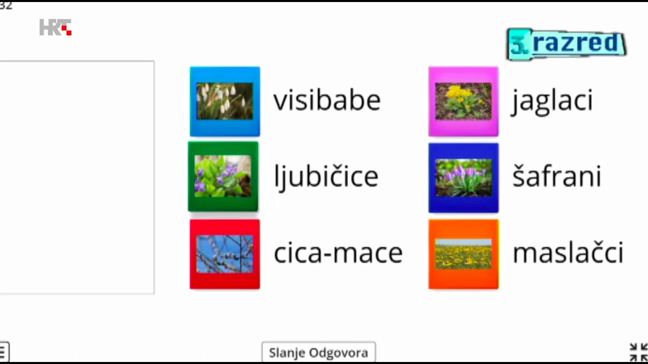 3. razred - Priroda i društvo - Kviz: Proljetno cvijeće