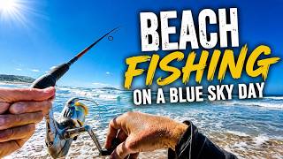 I Promise I'll CATCH FISH ! Blue Sky Beach Fishing In 4K