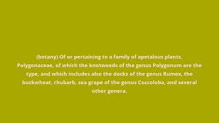 what is the meaning of polygonaceous
