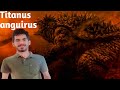 #animal art #animal lover # today we are discussing about titanus anguirus  
