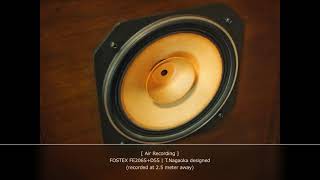 [ Air-Recording ] FOSTEX FE206S [8" Fullrange] + D55 [T. Nagaoka model] (recorded at 2.5 meter away)