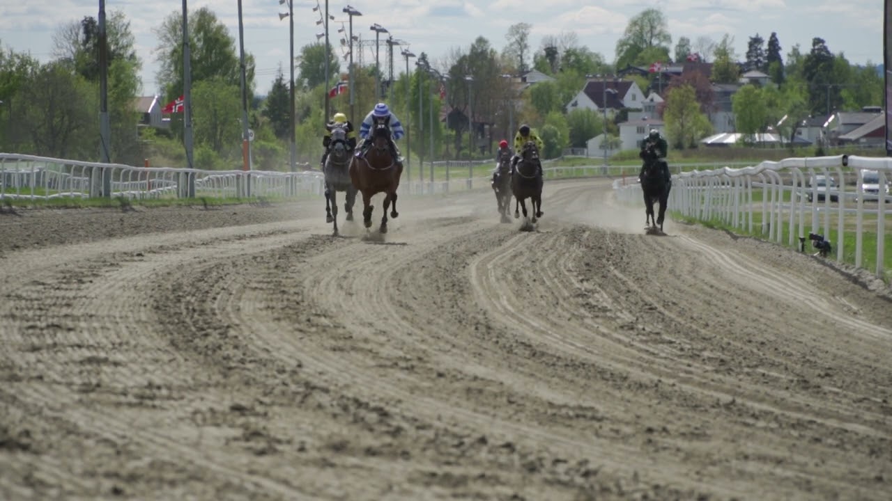 Øvrevoll Galoppbane (Øvrevoll Galopp)17.05.2023 / 14:25 Cet / Race #6 / 1100DtDemon Dancer Løp