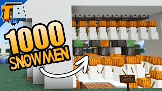 Destroying a youtuber server with 1000 snow golems!