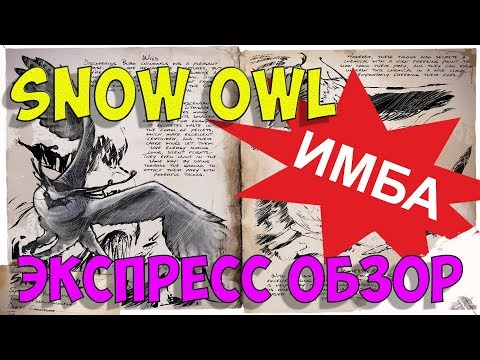 Видео: Снежная сова (Snow Owl) в АРК Extincion DLC. Express обзор: приручение, разведение и способности