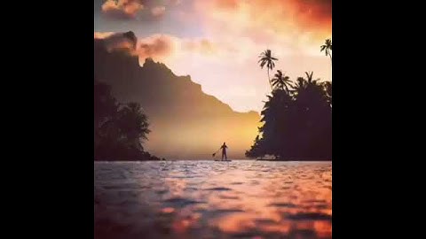أرح سمعك.. القارئ رعد الكردي/حالات واتس اب
