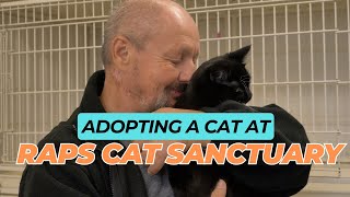 Adopting a Cat at Raps Cat Sanctuary