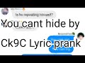 Mha/Bnha lyric prank/You can't hide by Ck9C