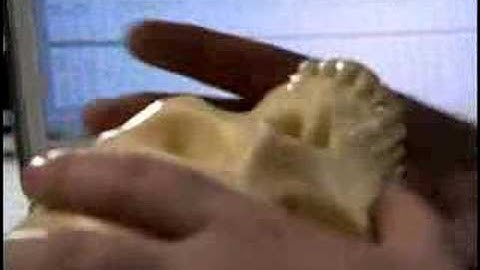 What role do anthropologists play in solving crime?