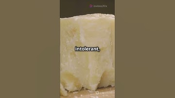 Is Cheese Bad for You The Truth Revealed!
