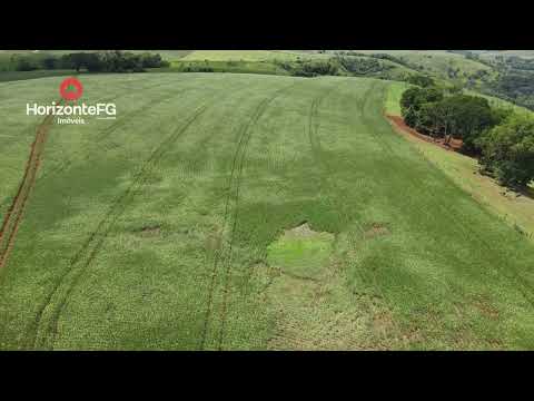 Fazenda à venda, 75 alqueires com 35 mecanizados  Pitanga   PR