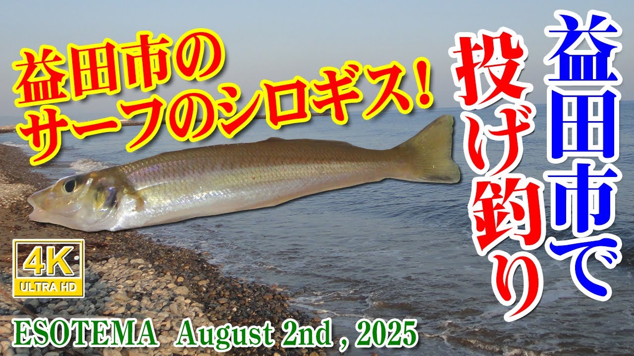 益田市のサーフのシロギス！日本海で投げ釣り #021