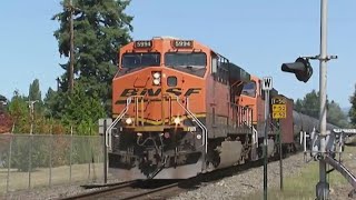 $31 billion railroad merger has Illinois lawmakers concerned
