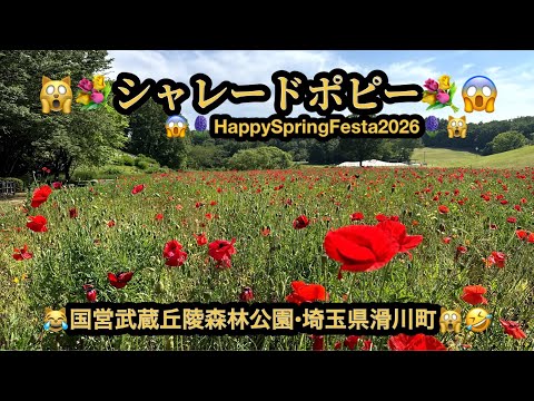 【絶景４ｋ】🙀シャレードポピー・Happy Spring Festa2026(4/4~5/24)😱国営武蔵丘陵森林公園😆埼玉県滑川町😳(24m21s）🤣BGM:#riokazumiのピアノ語り