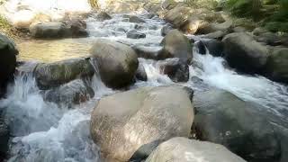 WATERFALL GENTLE STREAM SOUND IN FOREST 24/7. WATERFALL SOUNDS, FLOWING WATER, WHITE NOISE FOR SLEEP