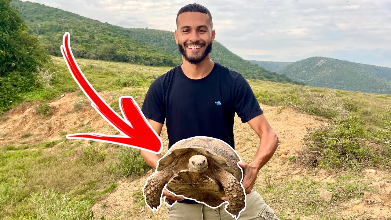 CAUGHT GIANT TORTOISE IN THE WILD! *MUST WATCH*