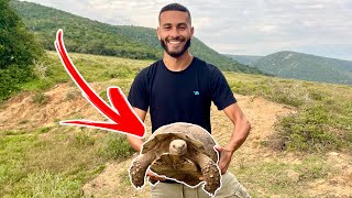 CAUGHT GIANT TORTOISE IN THE WILD! *MUST WATCH*