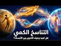 التناسخ الكم ي هل ي عاد تدوير وعيك بين الأجساد 