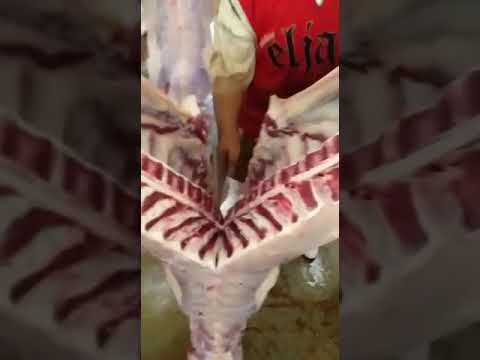 أخر مكاين فالتسطار مع الجزار السوسي محمد دكوير