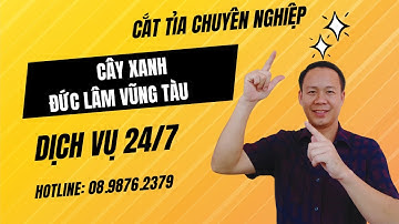 Bài 7  Bí quyết tạo cảnh quan đẹp/ cắt tỉa cây xanh/cây xanh Vũng Tàu