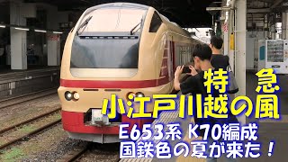 【国鉄特急色の夏が来た！】E653系K70編成 第1弾 小江戸川越の風号を待つ。ブルーオーシャンの女性運転手さんが、かっこいい！