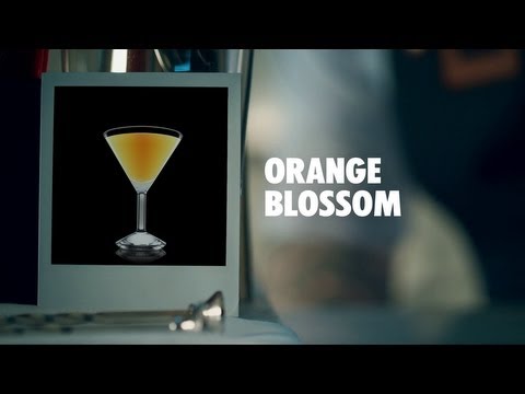 orange-blossom-drink-recipe---how-to-mix