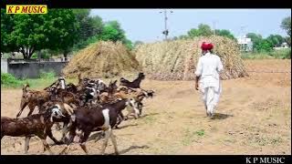 👍👍❤️❤️ jiji meri ke puche baat batev tero rewad charae re ak music👍👍👌