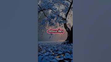 🌺القرآن الكريم 🌺ما تيسر من سورة ال عمران