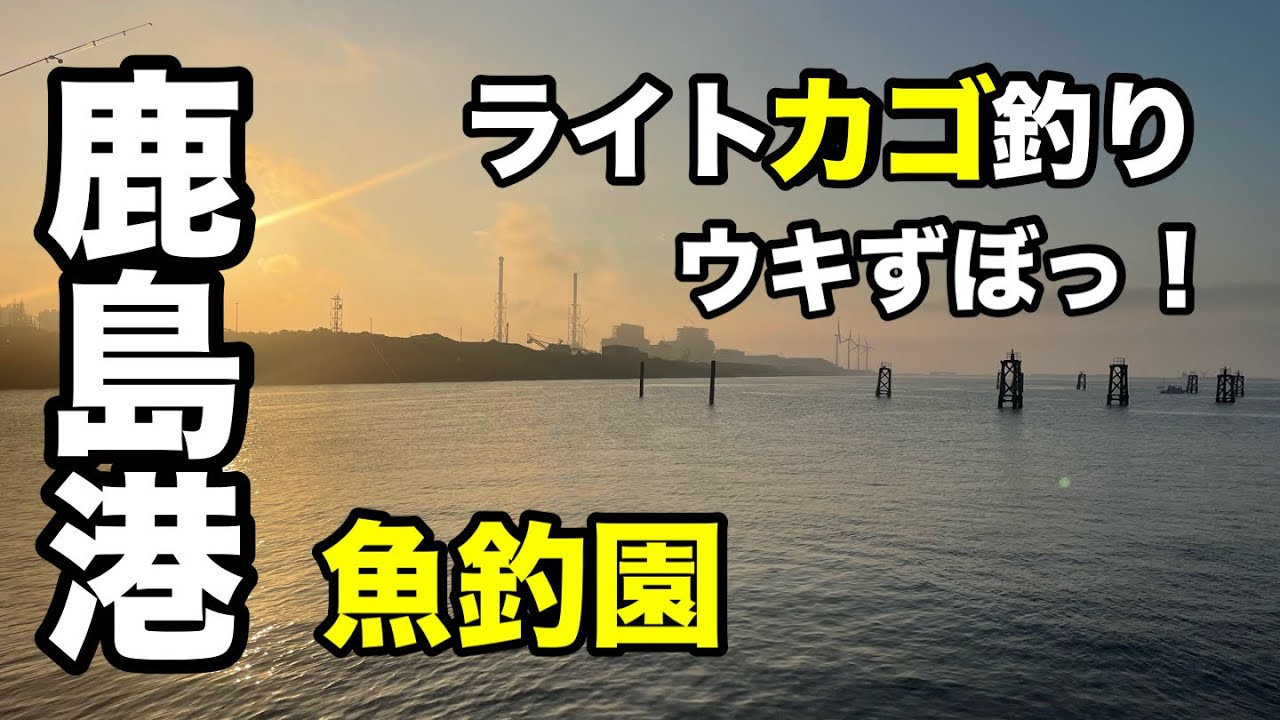 40センチ級のシマアジが釣れてる釣り園でライトカゴ釣り！釣り場攻略法⁉︎2024.7
