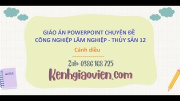 Giáo án powerpoint chuyên đề Công nghệ lâm nghiệp 12 Cánh diều | GA điện tử Công nghệ LN-TS 12 CD
