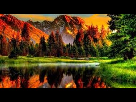 Watch Native American Flute | Coyotes | sounds nature on YouTube