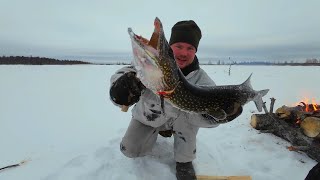 ПОСТАВИЛ ЖЕРЛИЦУ И СРАЗУ ПОКЛЕВКА. ЩУКА СХВАТИЛА ЖИВЦА. РЫБАЛКА НА СЕВЕРЕ. ЛОВЛЮ ОКУНЕЙ НА БЛЕСНУ