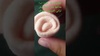 ا ب ت ث ج ح خ د ذ ر ز ش س ص ض ط ظ ع غ ف ق ك ل م ن ه  و ي