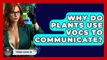 Why Do Plants Use VOCs To Communicate? - Strange Science HQ