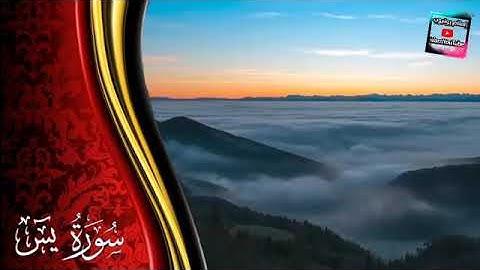 سورة "يس" اللهم أجعل القرآن الكريم ربيع قلوبنا ونور صدورنا وجعله شفيعا لنا يوم القيامة 💙🌱
