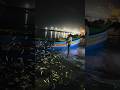 vizhinjam fishing spot #kerala #travel #reels