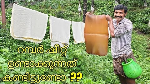 Rubber tapping method in kerala