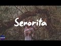 Shawn Mendes - Señorita (Lyrics)