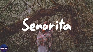 Shawn Mendes - Señorita (Lyrics)