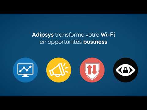 Les quatre solutions ADIPSYS