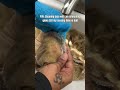How to remove the glue on your lace wigs tatihair CR: @jerasiaabelton   #wigs #rawhairsupplier