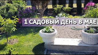 САДОВЫЕ РАБОТЫ В МАЕ | Стрижка можжевельников, газон и одна маленькая сделанная зона сада