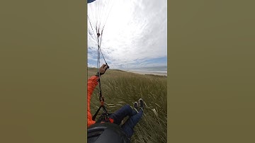 Famous for its sand, but what about the grass!? #Denmark #Soaring #Heaven