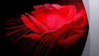 PASION  Sarah Brightman - Fernando Lima.wmv