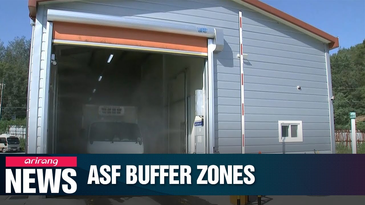 S. Korean gov't designates six areas as buffer zones to prevent further ASF outbreaks YouTube