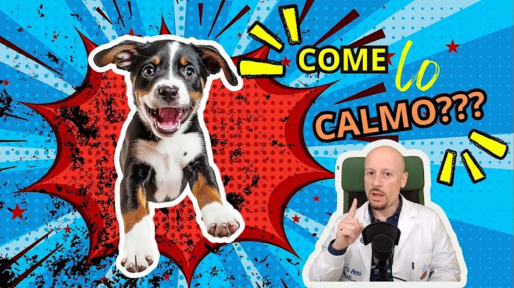 Come calmare un Cane agitato?