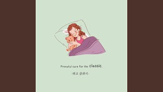 Serenade No.13 In G Major K.525 Eine Kleine Nachtmusik - Romanze Resimi