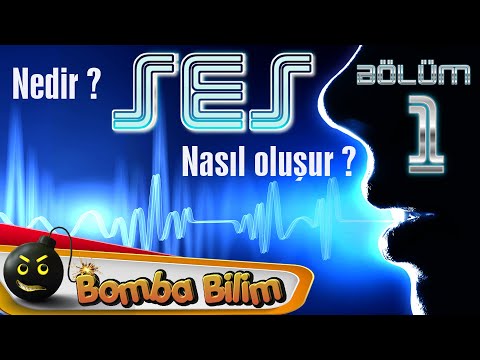 SES / Ses nedir / Nasıl oluşur