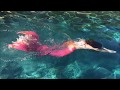 Mermaid Sabrina Swim Clip 
