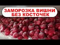 Как заморозить вишню на зиму без косточек и с ними. Заморозка вишни на зиму для пирогов и компотов.